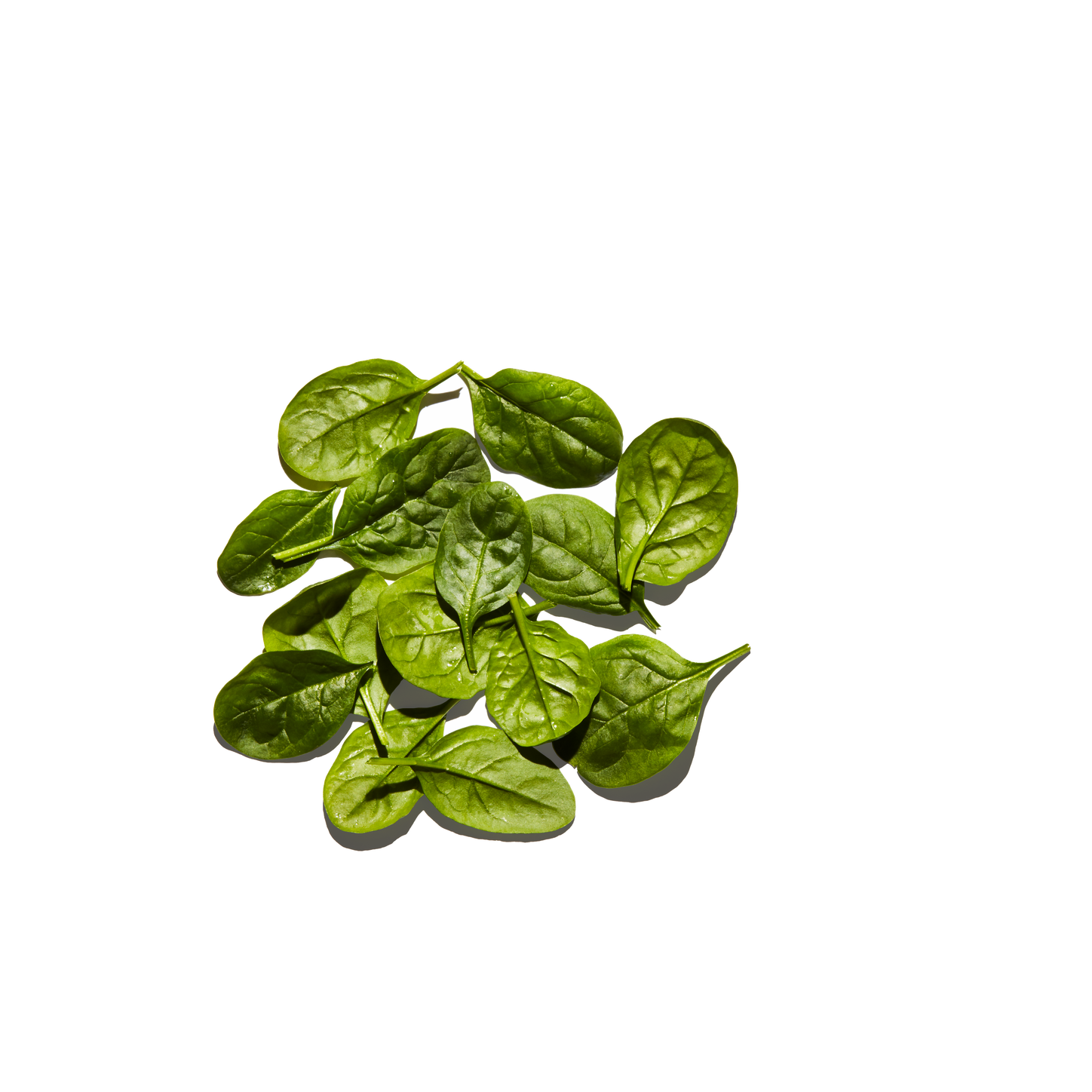 Baby Spinach