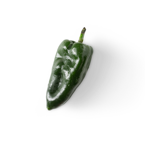 Poblano Pepper