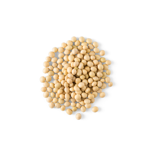 Soybeans